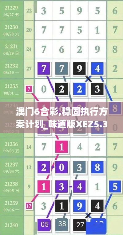 澳门6合彩,稳固执行方案计划_味道版XEZ5.38