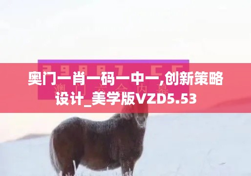 奥门一肖一码一中一,创新策略设计_美学版VZD5.53