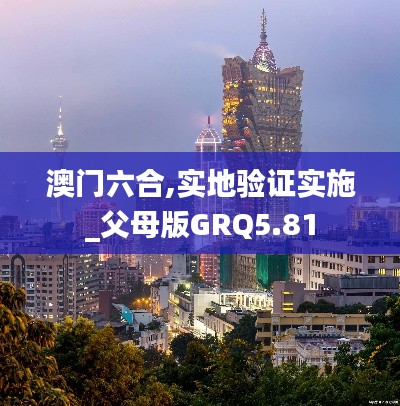 澳门六合,实地验证实施_父母版GRQ5.81