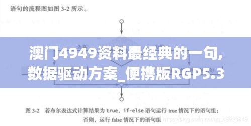 澳门4949资料最经典的一句,数据驱动方案_便携版RGP5.36