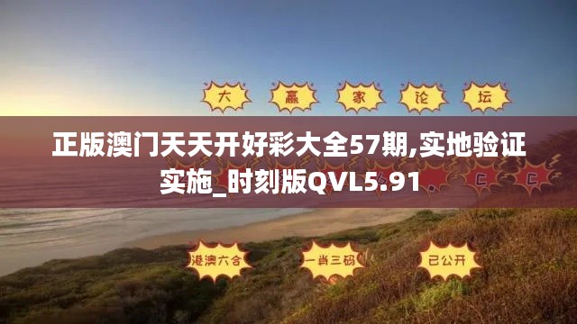 正版澳门天天开好彩大全57期,实地验证实施_时刻版QVL5.91