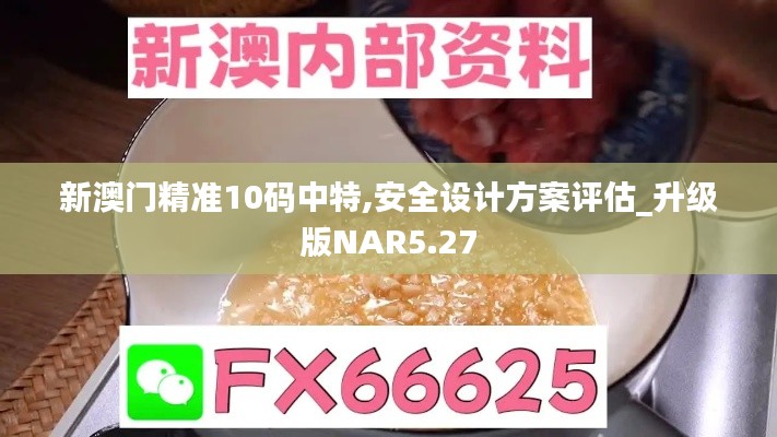 新澳门精准10码中特,安全设计方案评估_升级版NAR5.27