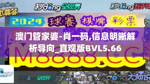 澳门管家婆-肖一码,信息明晰解析导向_直观版BVL5.66