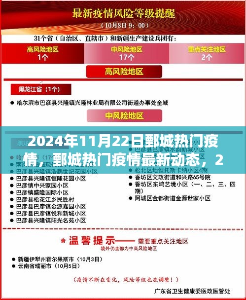 2024年11月22日鄄城疫情最新动态与深度解析，应对指南