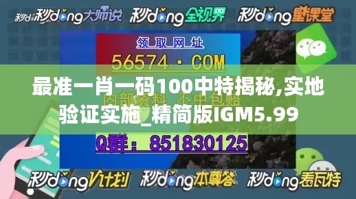 最准一肖一码100中特揭秘,实地验证实施_精简版IGM5.99