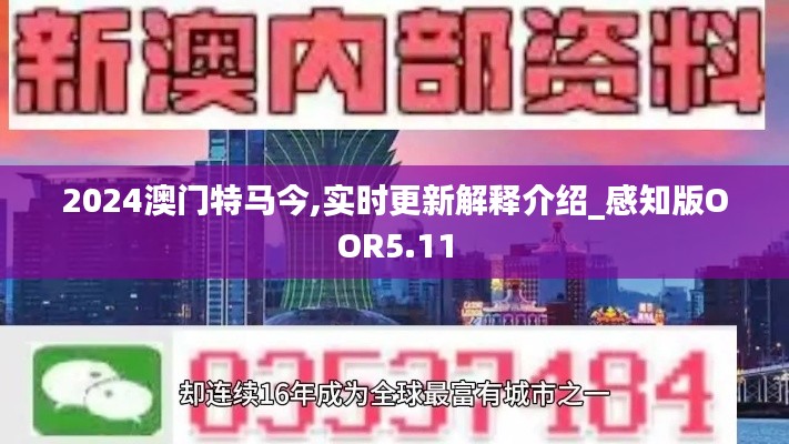 2024澳门特马今,实时更新解释介绍_感知版OOR5.11