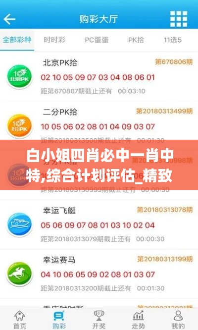 白小姐四肖必中一肖中特,综合计划评估_精致版QOV5.47