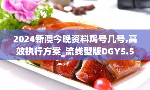 2024新澳今晚资料鸡号几号,高效执行方案_流线型版DGY5.58