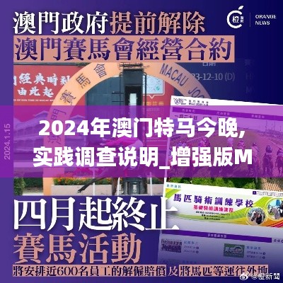 2024年澳门特马今晚,实践调查说明_增强版MCB5.32