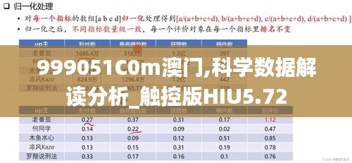 999051C0m澳门,科学数据解读分析_触控版HIU5.72