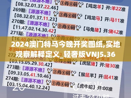 2024澳门特马今晚开奖图纸,实地观察解释定义_轻奢版VNJ5.36