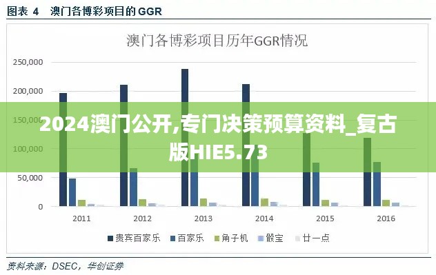 2024澳门公开,专门决策预算资料_复古版HIE5.73