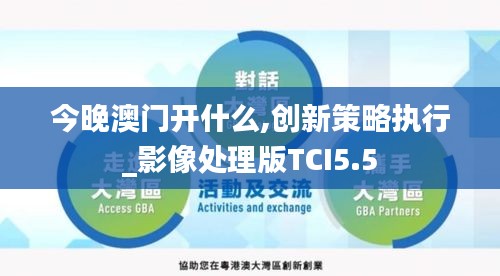 今晚澳门开什么,创新策略执行_影像处理版TCI5.5