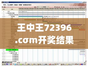 王中王72396.cσm开奖结果,高速响应计划执行_复古版XNW5.93