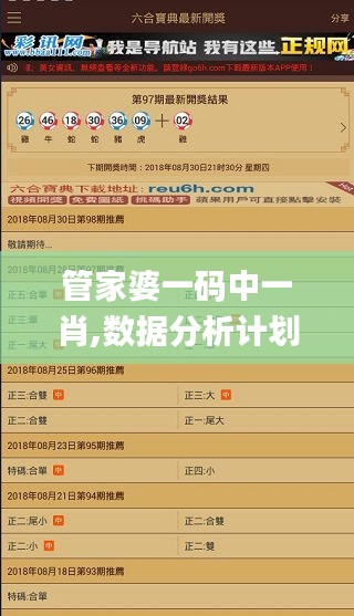 管家婆一码中一肖,数据分析计划_探索版UBD5.22