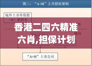 香港二四六精准六肖,担保计划执行法策略_神秘版FKH5.21