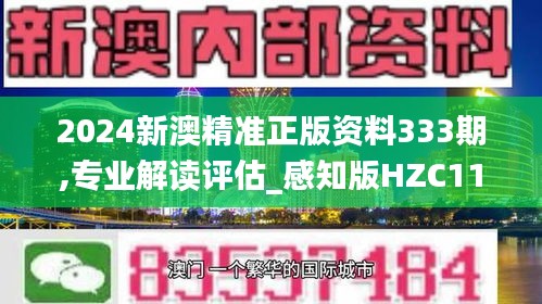 2024新澳精准正版资料333期,专业解读评估_感知版HZC11.83