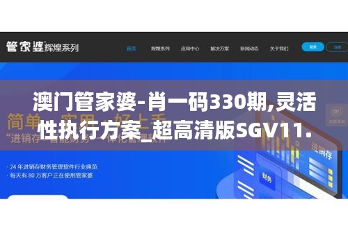 澳门管家婆-肖一码330期,灵活性执行方案_超高清版SGV11.30