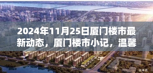 2024年厦门楼市最新动态，寻觅温馨家园，感受陪伴喜悦