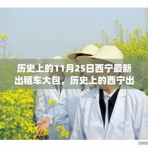 探寻西宁出租车大包的历史背景、事件与影响，11月25日的回顾与探寻