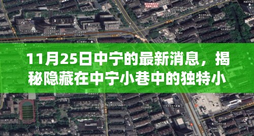 揭秘中宁小巷独特小店，味蕾与心灵的奇妙邂逅之旅（11月25日最新消息）