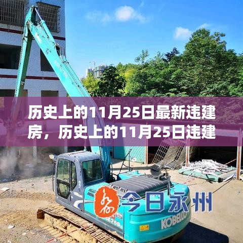 历史上的11月25日违建房事件深度解析与我的观点