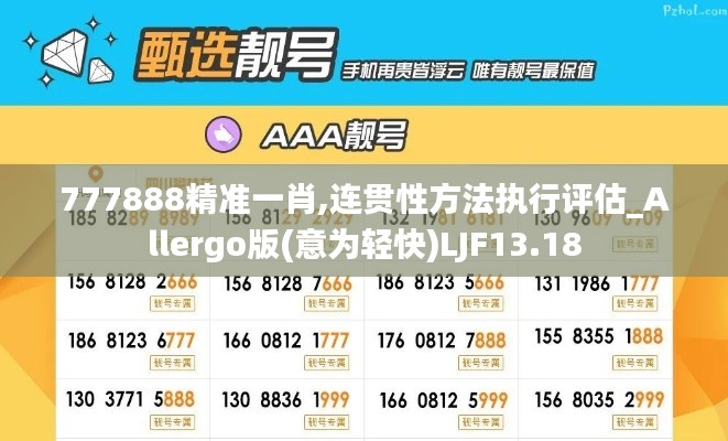 777888精准一肖,连贯性方法执行评估_Allergo版(意为轻快)LJF13.18