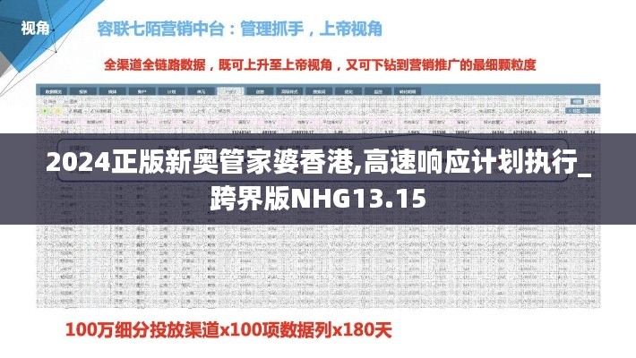 2024正版新奥管家婆香港,高速响应计划执行_跨界版NHG13.15