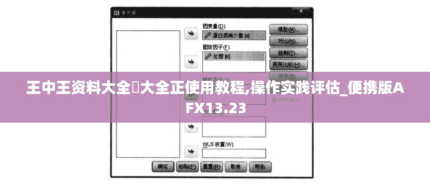 王中王资料大全枓大全正使用教程,操作实践评估_便携版AFX13.23