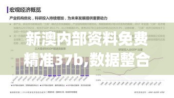 新澳内部资料免费精准37b,数据整合决策_见证版BCI13.15