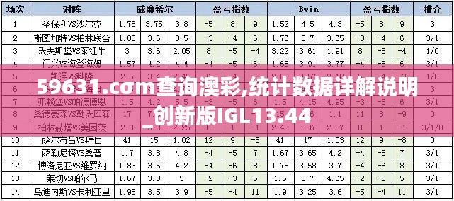 59631.cσm查询澳彩,统计数据详解说明_创新版IGL13.44