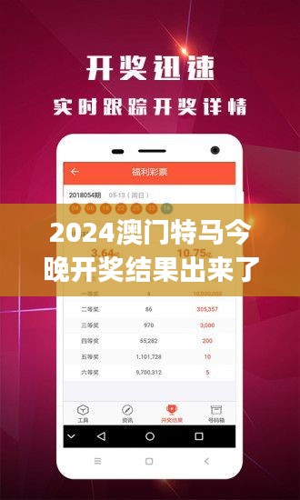 2024澳门特马今晚开奖结果出来了吗图片大全,高效执行方案_界面版USK13.81