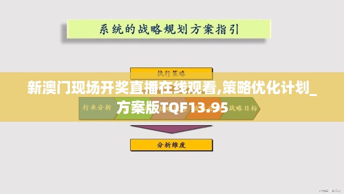 新澳门现场开奖直播在线观看,策略优化计划_方案版TQF13.95