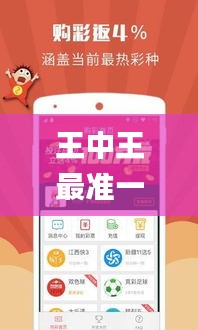 王中王最准一肖100免费公开,高效计划实施_便携版HYJ13.17