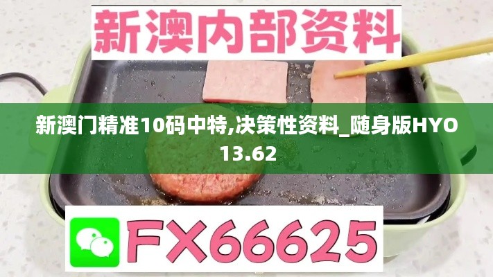 新澳门精准10码中特,决策性资料_随身版HYO13.62