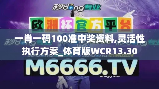 一肖一码100准中奖资料,灵活性执行方案_体育版WCR13.30