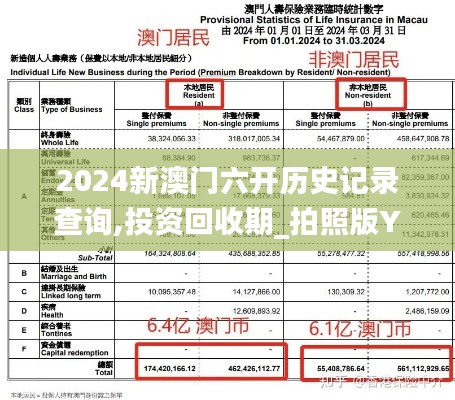 2024新澳门六开历史记录查询,投资回收期_拍照版YUM13.82