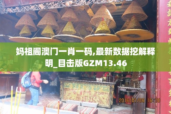 妈祖阁澳门一肖一码,最新数据挖解释明_目击版GZM13.46