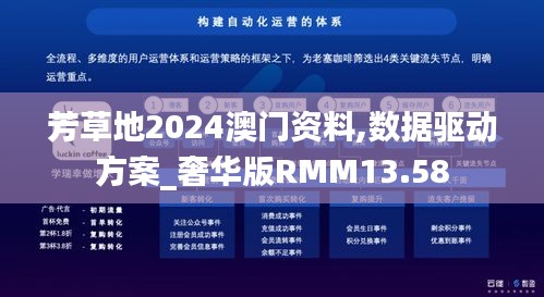 芳草地2024澳门资料,数据驱动方案_奢华版RMM13.58