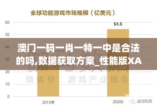 澳门一码一肖一特一中是合法的吗,数据获取方案_性能版XAF13.9