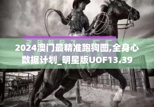 2024澳门最精准跑狗图,全身心数据计划_明星版UOF13.39