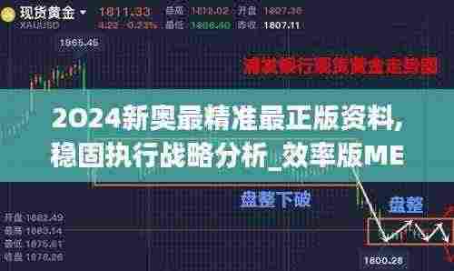 2O24新奥最精准最正版资料,稳固执行战略分析_效率版MEQ13.42