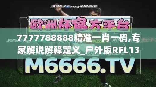 7777788888精准一肖一码,专家解说解释定义_户外版RFL13.31