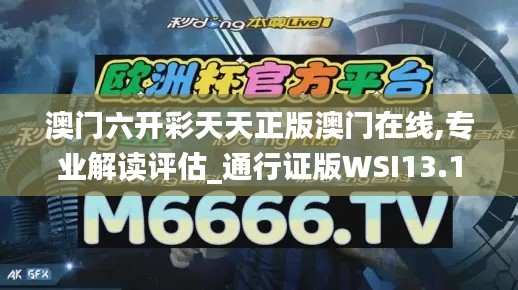 澳门六开彩天天正版澳门在线,专业解读评估_通行证版WSI13.11