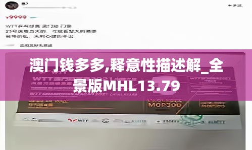 澳门钱多多,释意性描述解_全景版MHL13.79