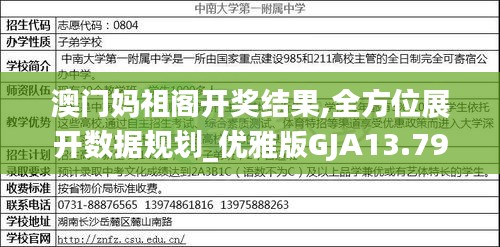 澳门妈祖阁开奖结果,全方位展开数据规划_优雅版GJA13.79