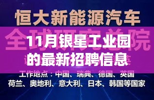 深度解读11月银星工业园最新招聘信息全解析