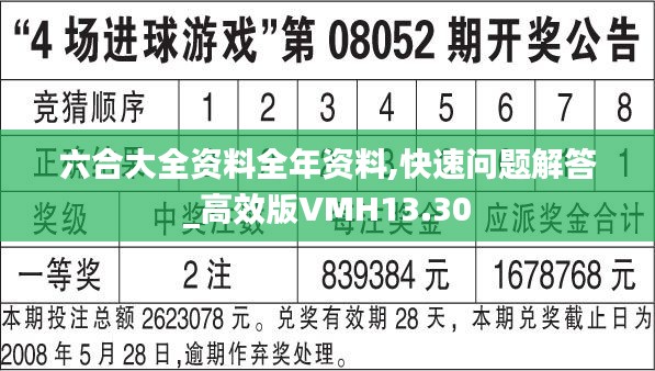 六合大全资料全年资料,快速问题解答_高效版VMH13.30