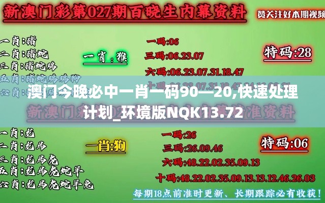 澳门今晚必中一肖一码90—20,快速处理计划_环境版NQK13.72