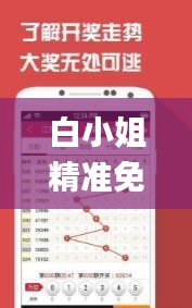 白小姐精准免费四肖,效率评估方案_VR版IIU13.14